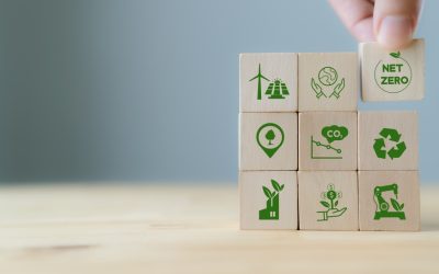 British Asian Trust Co lanserar en fond för klimatinnovation